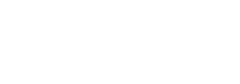 Lucidica logo