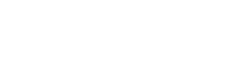 Nord Security logo