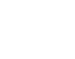 Chat Icon
