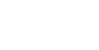 Kroll Cyber Risk