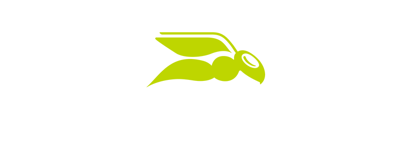 Hornet Security